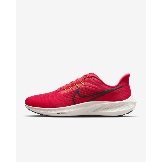 Nike Air Zoom Pegasus 39